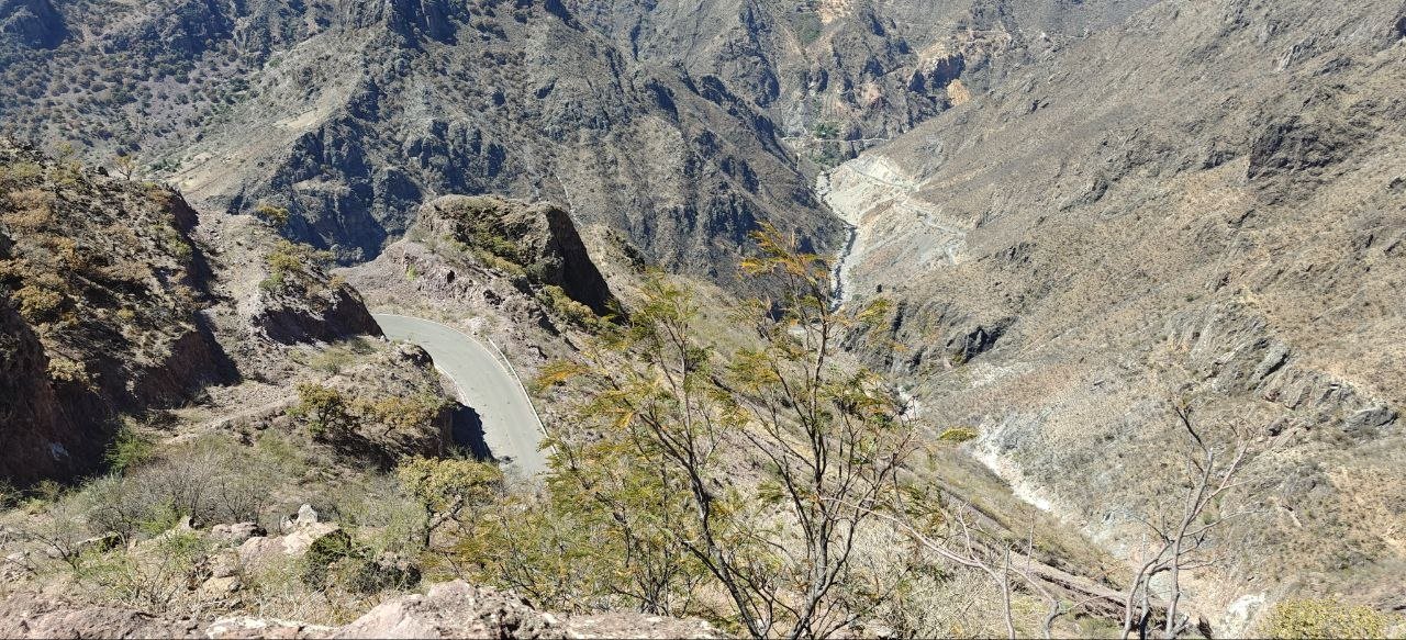 Canyon switchback overlook